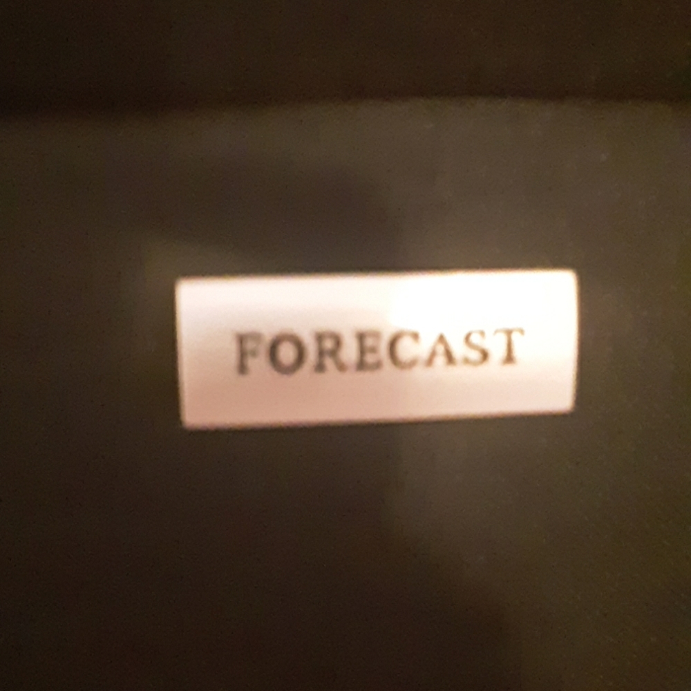Forecast bag - Picture 3 of 4